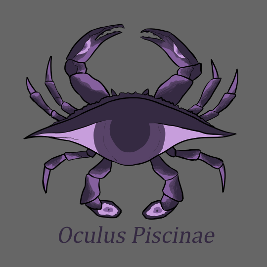 Drawing of a purple crab. The shell is colored like a large eye staring directly at the viewer. There’s text under the crab, reading ‘Oculus Piscinae’.