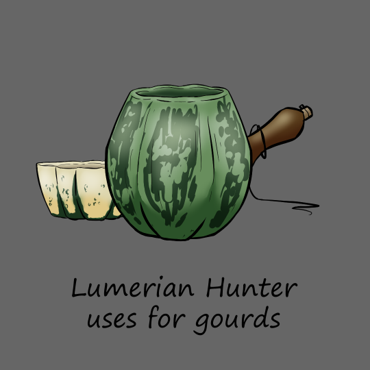 Drawing of three gourds in different shapes. The gourd on the left is white with green stripes, shaped into a bowl. The middle gourd is splotched in two shades of green, and was carved shaped like a cup. The gourd on the right is brown, with a string around it and a tan cap in the top like a bottle. The text along the bottom reads ‘Lumerian Hunter uses for gourds’.